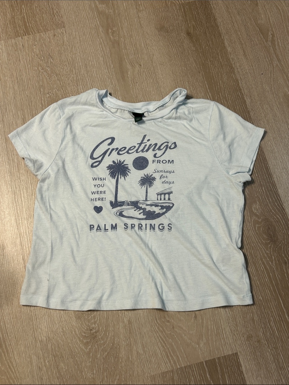 Wild Fable Greeting from Palm Springs Light Blue Graphic Tee Sz Large